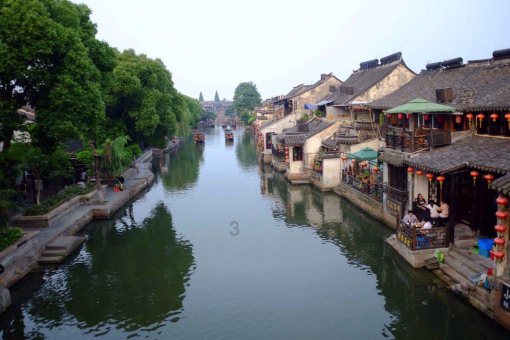 动物帮帮忙保卫家园
